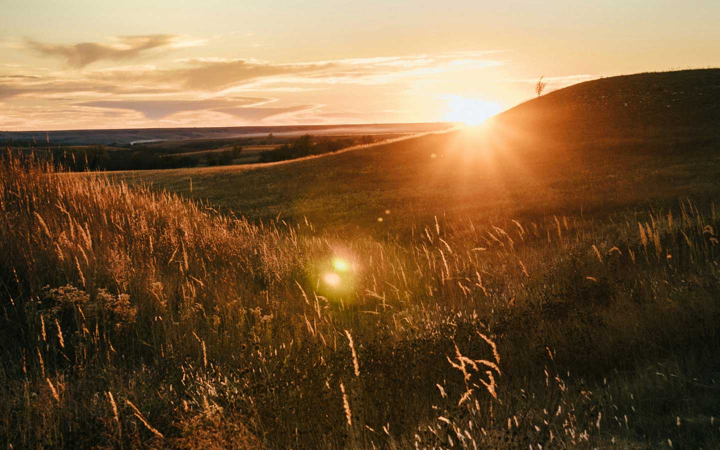 How Rachel works with Seichem Reiki