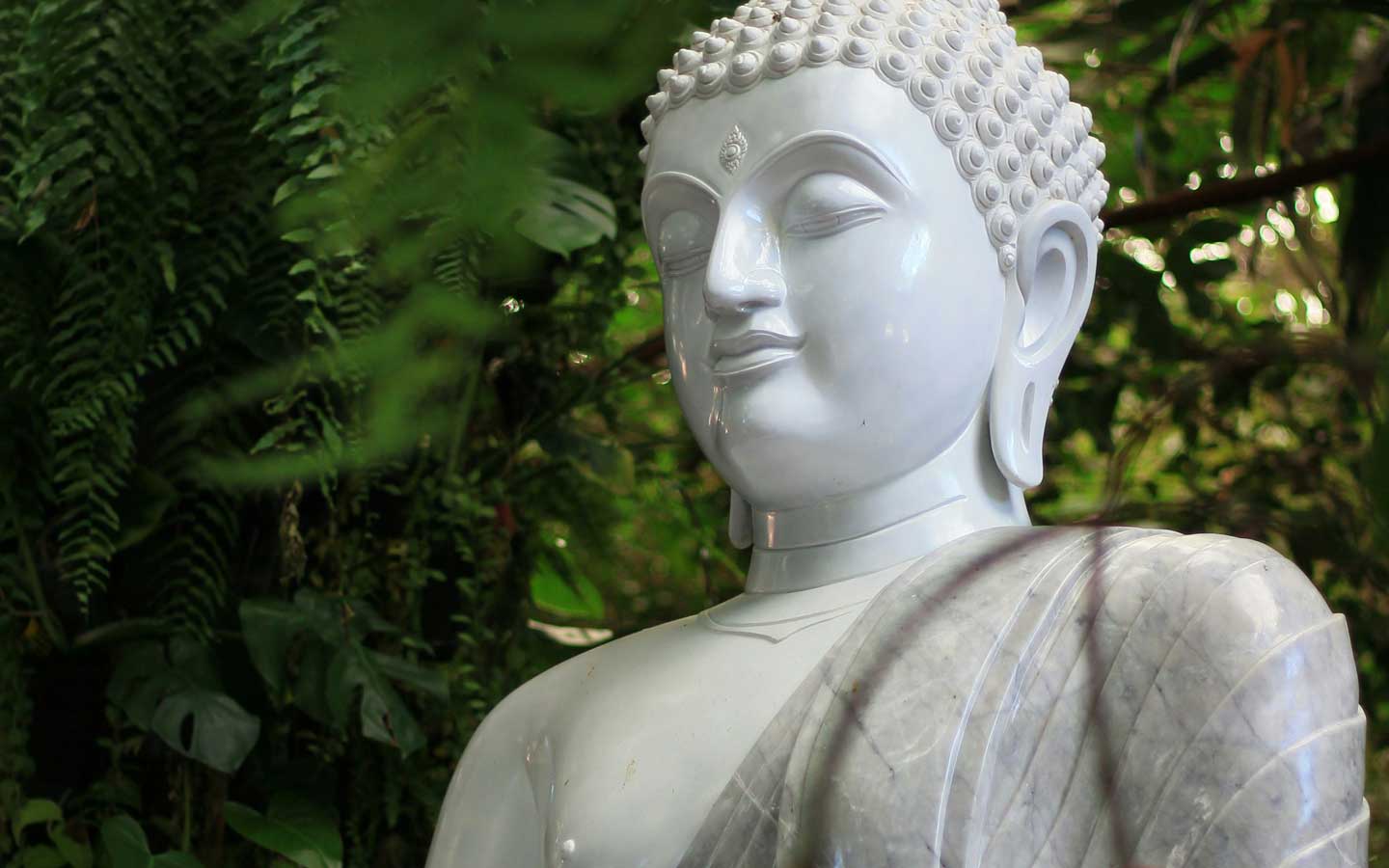 Exploring transformative wellness through Eastern Modalities